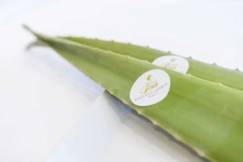 aloe vera modellage maske