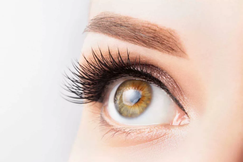 Nahaufnahme des nach rechts gerichteten Auges einer Person, die lange Wimpern und gepflegte Augenbrauen zeigt. Die Augenfarbe ist eine Mischung aus Grün- und Brauntönen. Die Haut ist glatt, das Augenlid wird durch dezentes Make-up hervorgehoben. Der Hintergrund ist sanft verschwommen.